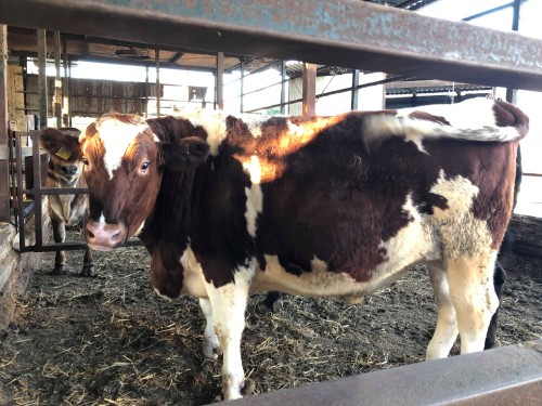 26654482_1058698317606523_1888223765_o