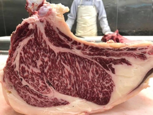 45898374_1278731055603247_8377916168542879744_n