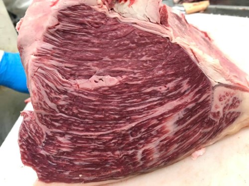 46165071_1278731085603244_7028412593458905088_n